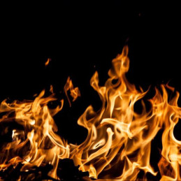 CF 4 BIO retardateur de flamme