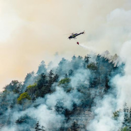 CF 5 BIO forest fire extinguishing agent -1